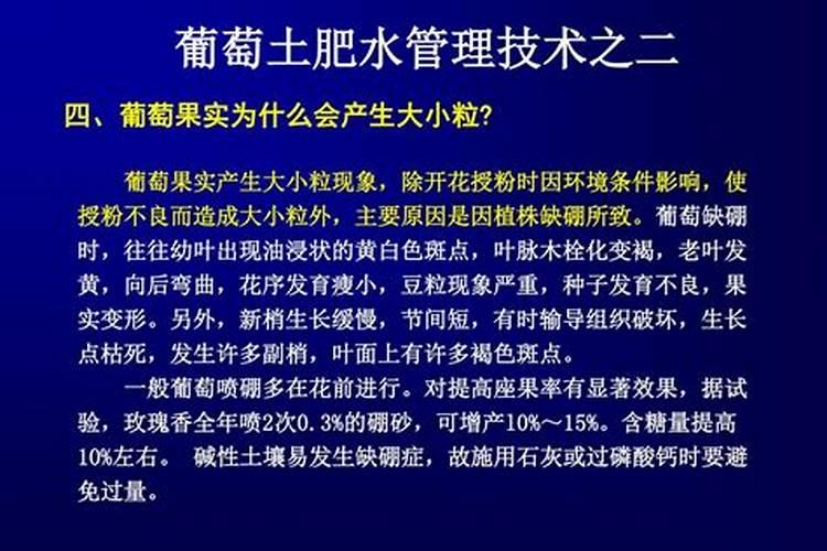 为什么花前要喷硼肥水？