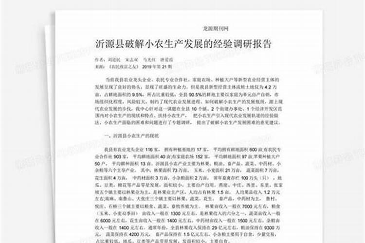小农生产调研报告
