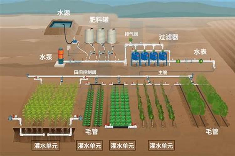水肥一体化应用的主要技术及方法