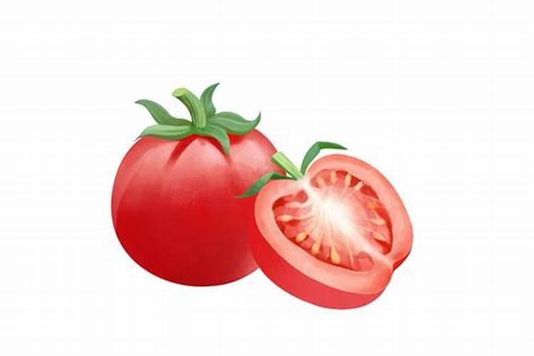绿色守护：蔬菜防病用药技术揭秘