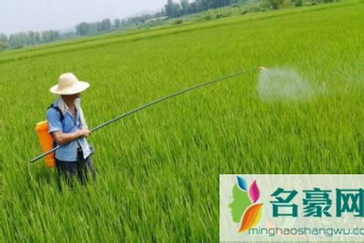 农药稀释后没喷完的农药可放多久？