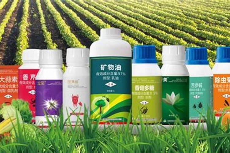 如何鉴别环保绿色农药