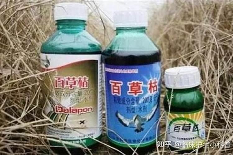百草枯中毒有哪几个认识误区？