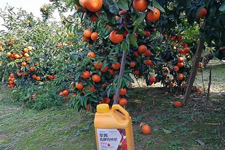 水溶肥和冲施肥的区别