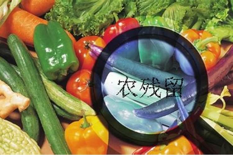 农药残留有危害吗？你有哪些了解？