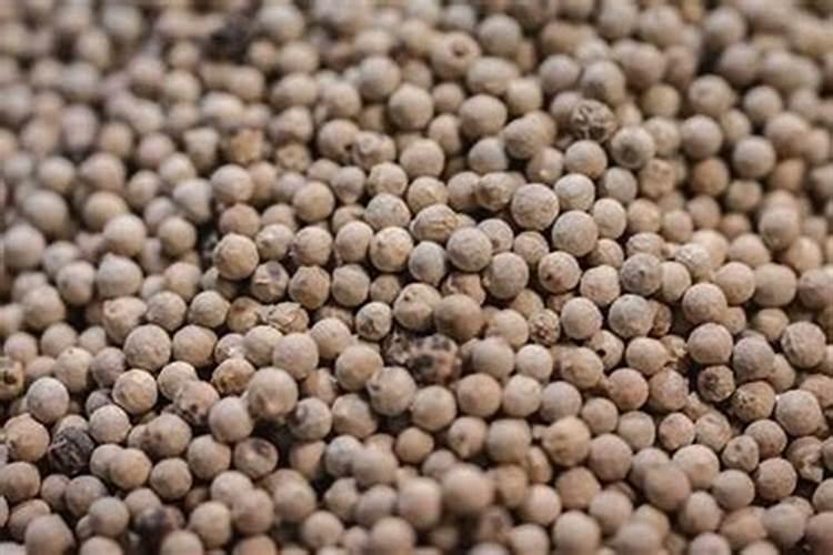硝酸钾属于什么肥料？硝酸钾的作用有哪些？