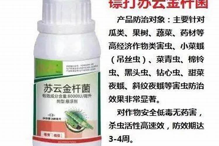 这个药可以打吊丝虫吗？