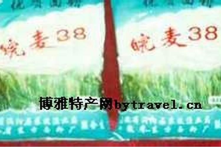 皖麦38是哪里的