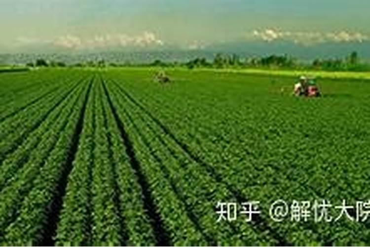 雨季化肥存储的注意事项：确保农业丰收的关键步骤