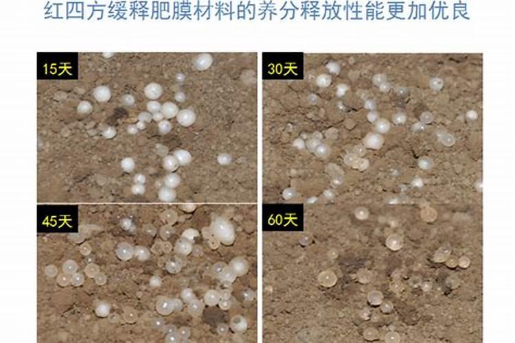 缓控释肥：高效农业的未来