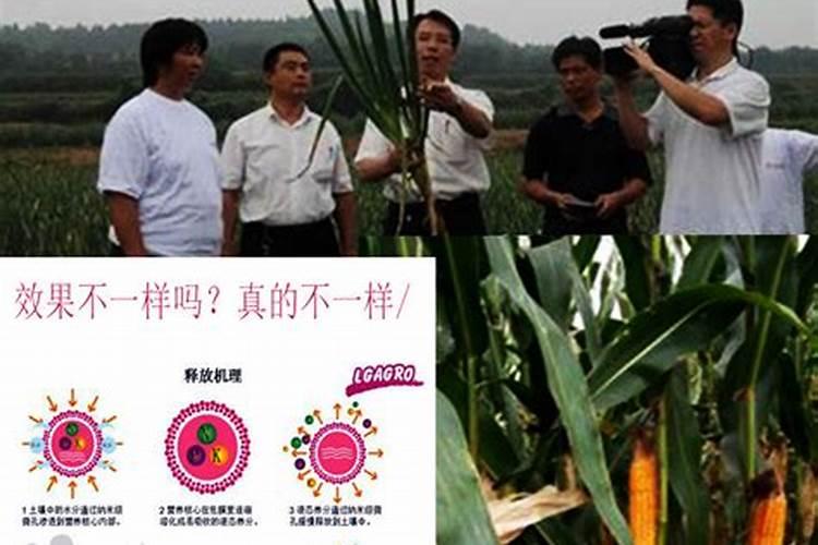 怎样更好地使用缓控释肥？