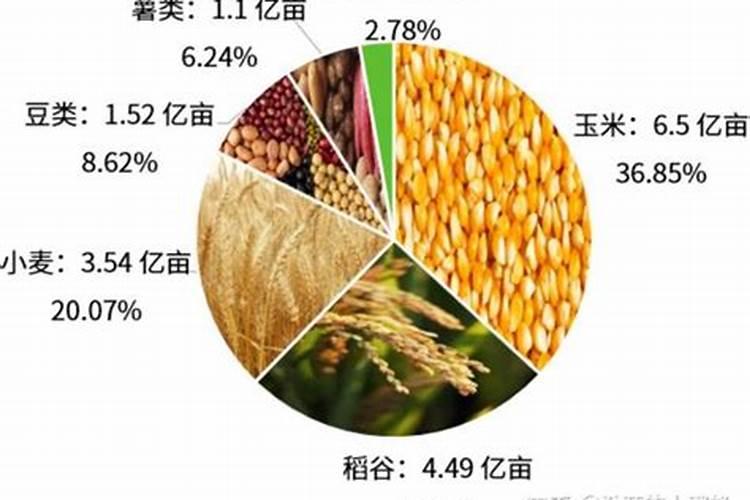 木瓜在中国：揭秘全国种植面积与产量的绿色密码