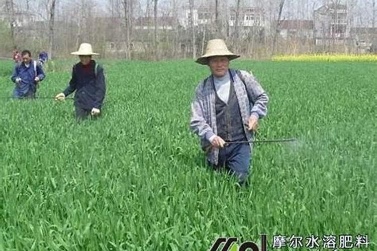 如何测量肥料水溶性好坏的方法？