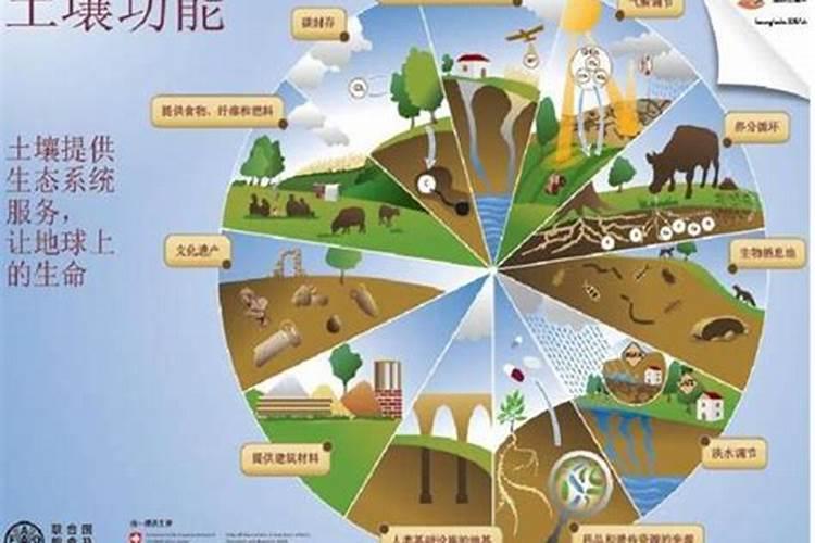 土壤之渴：明智施肥，守护生命之地