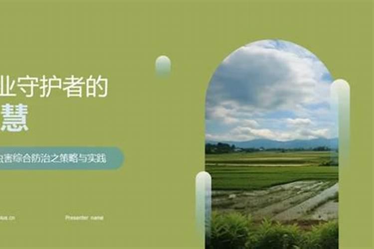 河北冬季施药指南：农业守护者的智慧选择