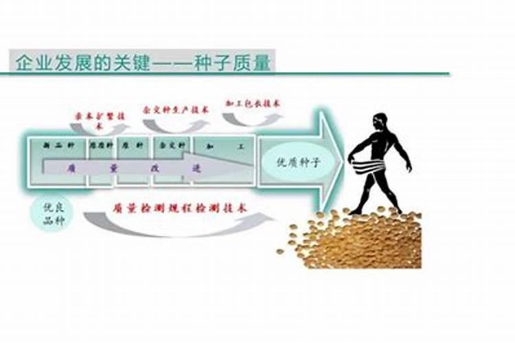 种子质量问题找谁投诉