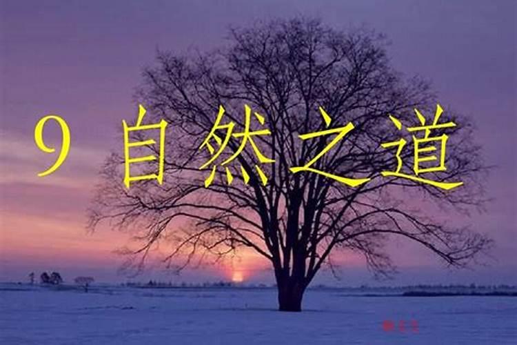 掌握自然之道：配制“土方