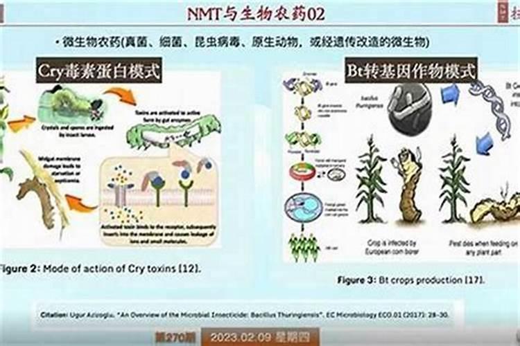 田间守护者：有机磷农药的多彩世界？