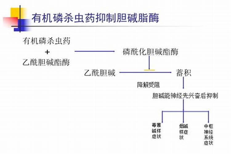 什么是有机磷