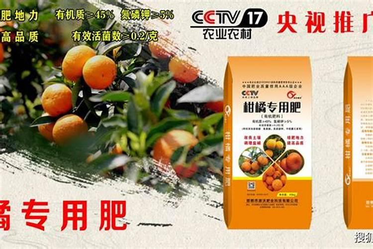 栽培柑橘怎样施有机肥？