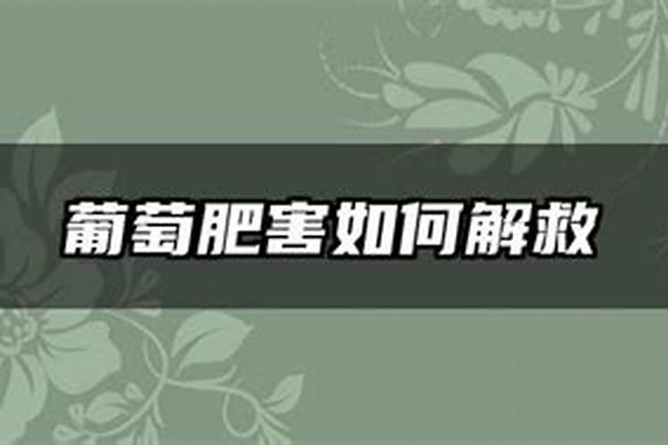 肥害的症状及解救方法