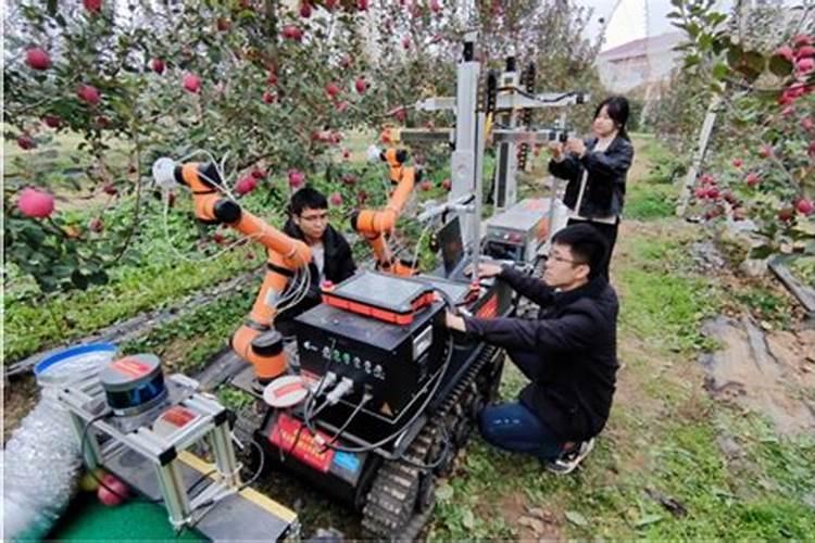 守护果园：农艺与鼠害的智慧对决
