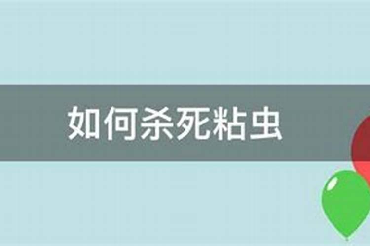 如何杀死粘虫？