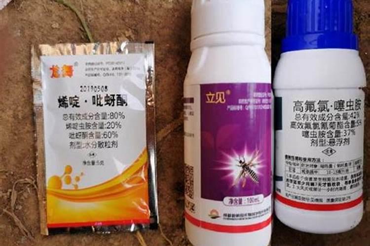 战胜蓟马：有效农药与综合管理策略