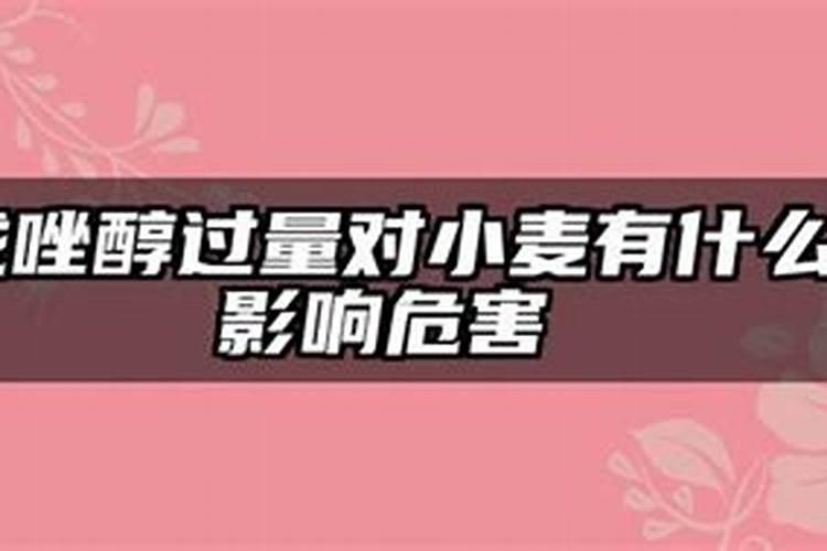 戊唑醇过量对小麦有什么影响危害(用量偏大会产生药害吗)