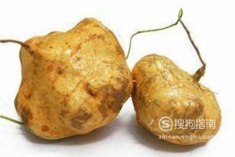 凉薯热量高吗