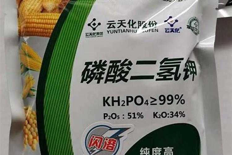 磷酸二氢钾严重过量喷施几天出现症状？