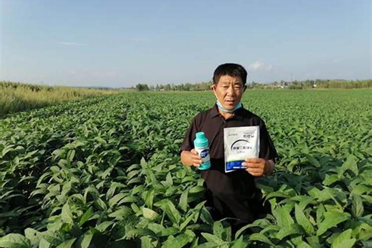 黄豆打什么喷叶面肥效果好一点？