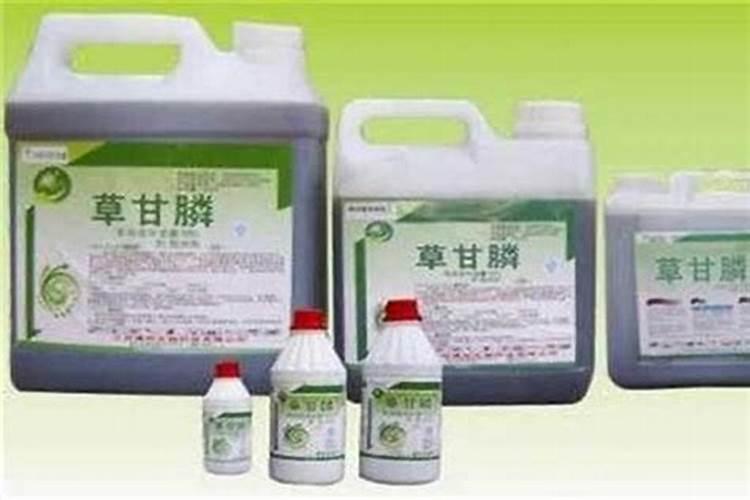 提升除草剂药效的科学策略