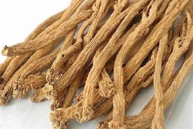 威宁党参出口东南亚的原因