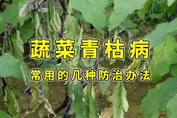 茄果类蔬菜青枯病的综合防治方法？