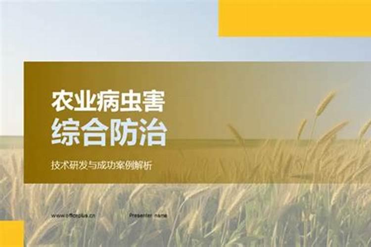 胡萝卜的守护者：三大病害防治策略解析