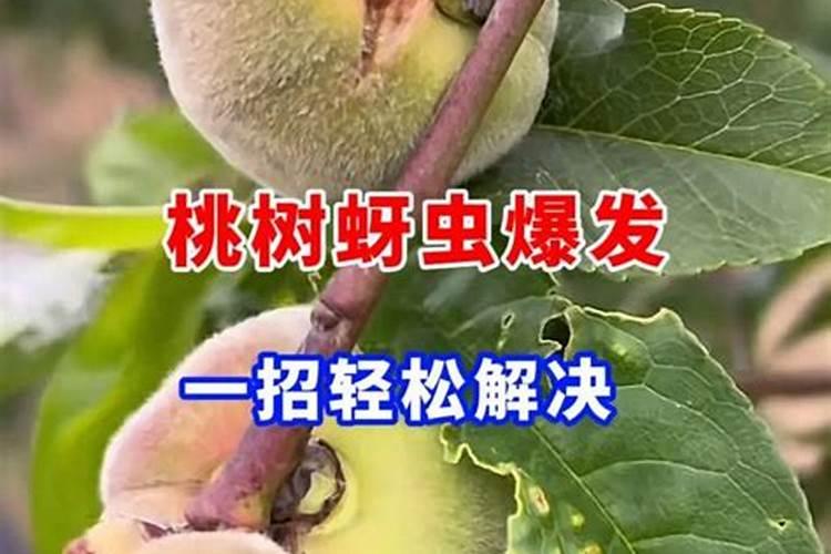 果树寄生物防治方法？