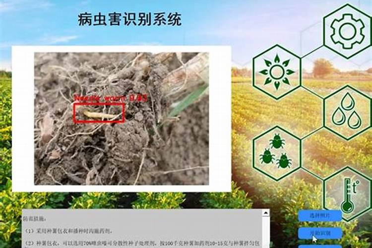 作物肥害怎样识别与预防？