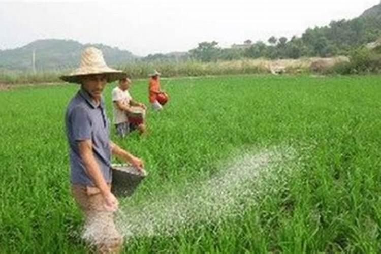 化肥是农药吗？化肥和农药的区别是？