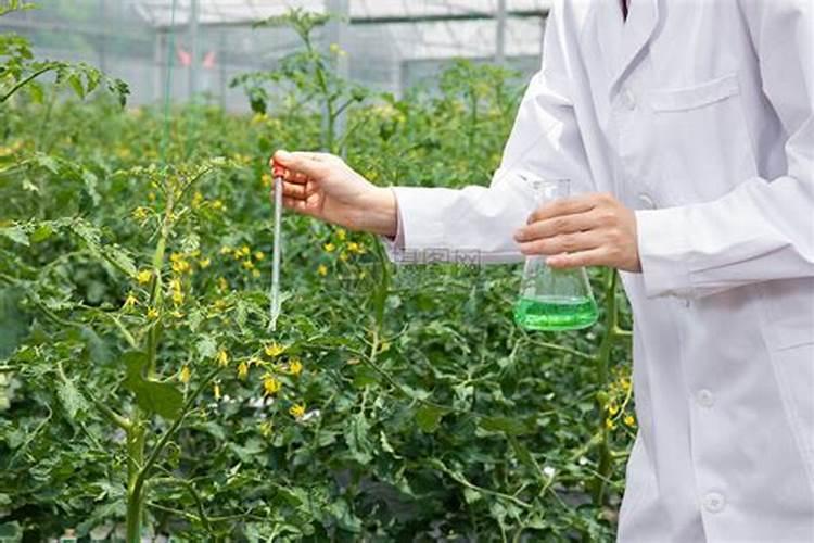 绿色守护者：科学应用农药技术在现代农业中的角色与挑战