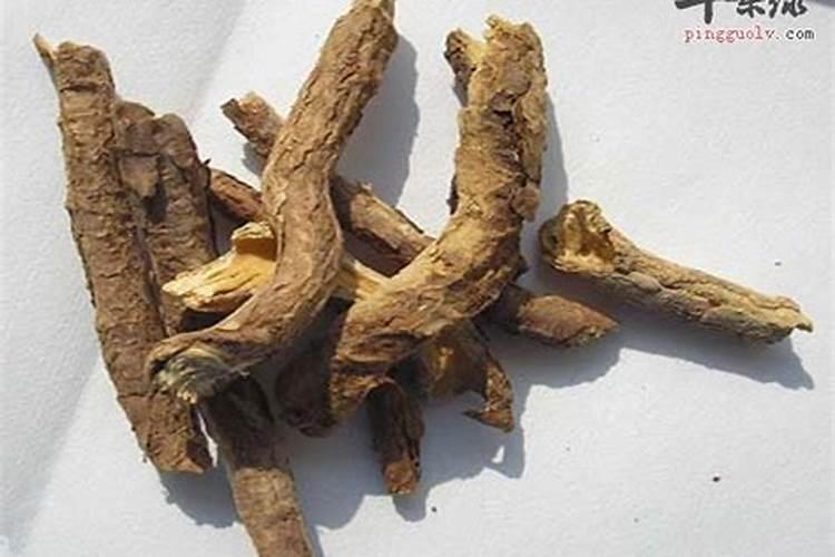 大黄和土大黄的区别