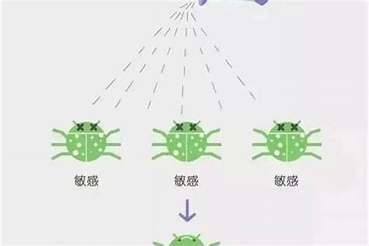害虫抗药性是什么意思