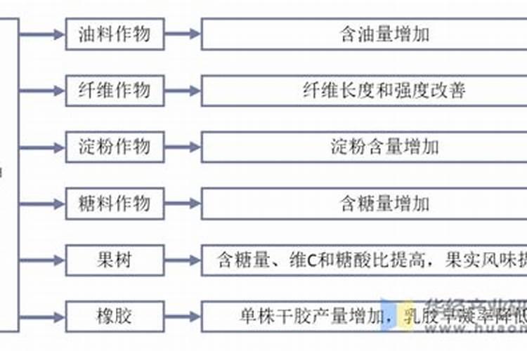 提升作物品质与产量：钾肥施用技术详解