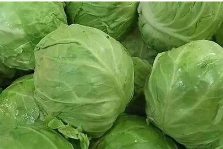 卷心菜有苦辣味，是什么原因？