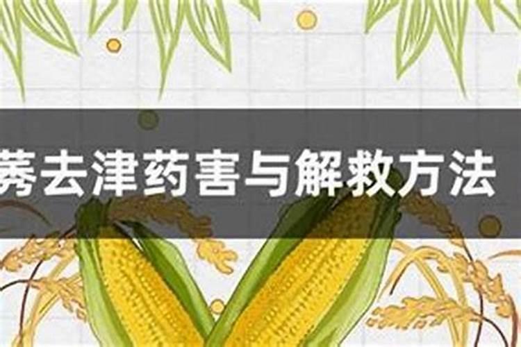 田间守护：作物药害急救手册