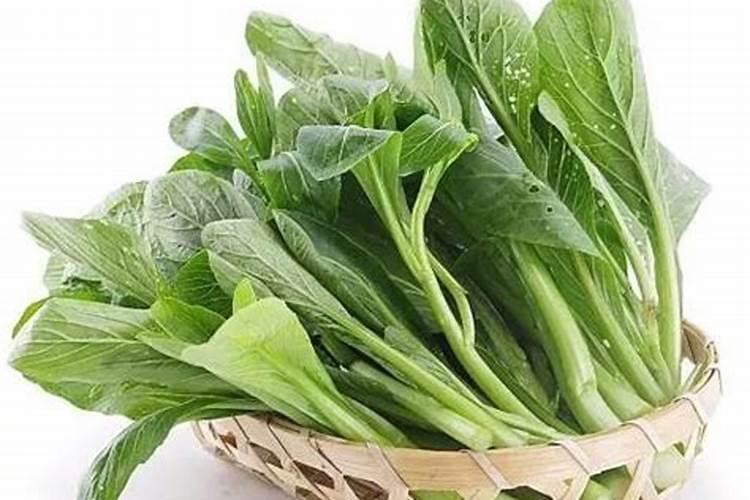 菜心病毒病一般用些什么药？