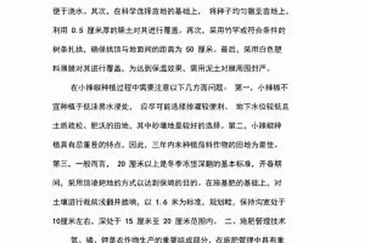 小辣椒种植过程中的土肥水管理技术要点