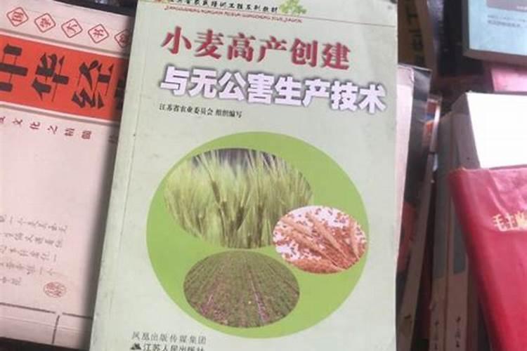 无公害强筋小麦规范化栽培技术