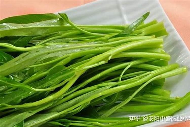 空心菜发黄是什么原因？