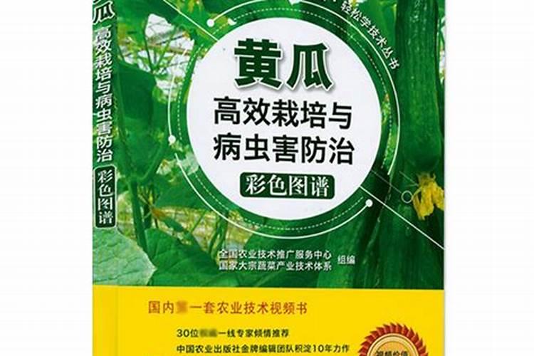 绿色守护：防治黄瓜病害用药的智慧指南